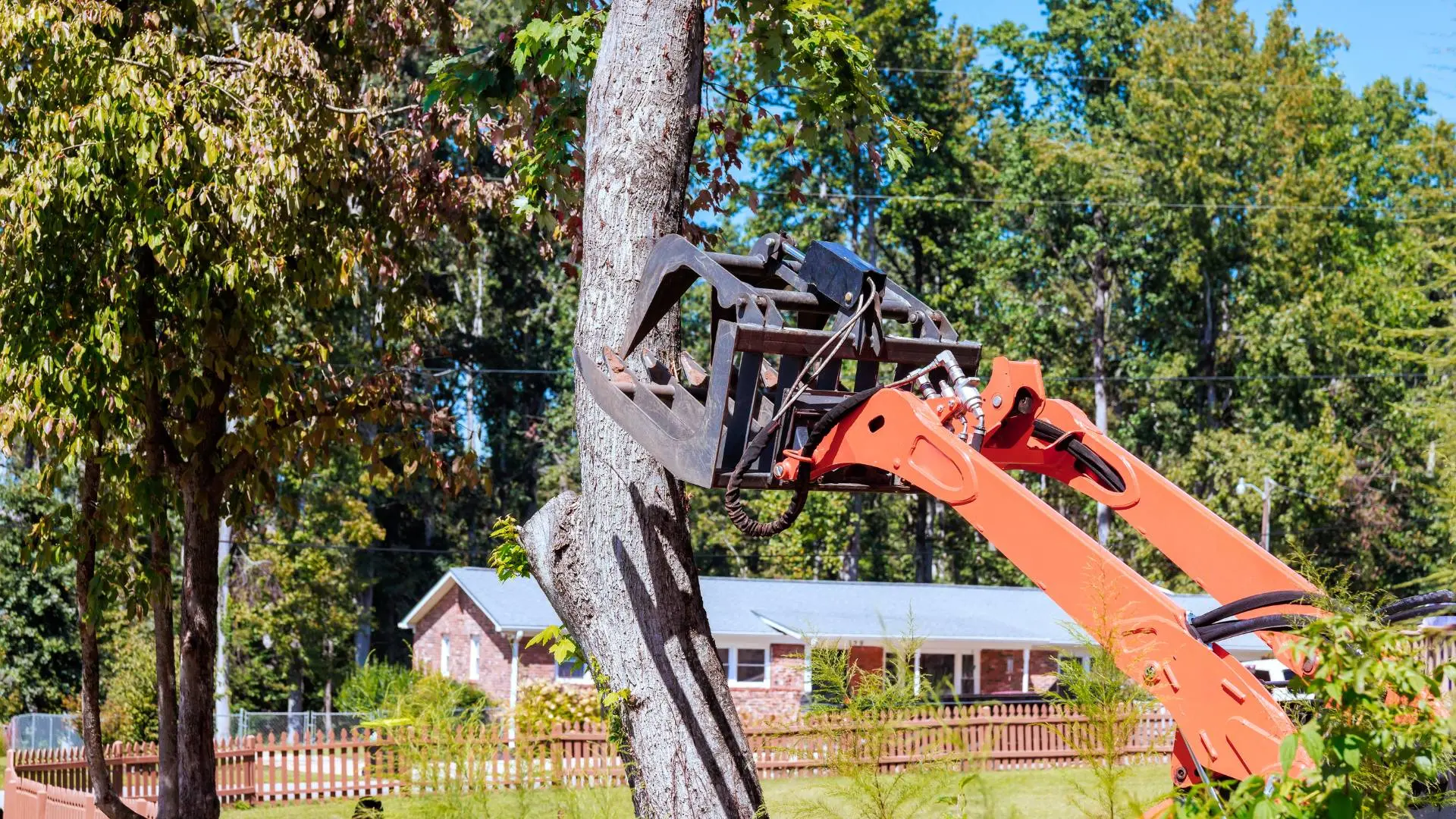 Tree removal service using grapple loader in Aurora, IL
